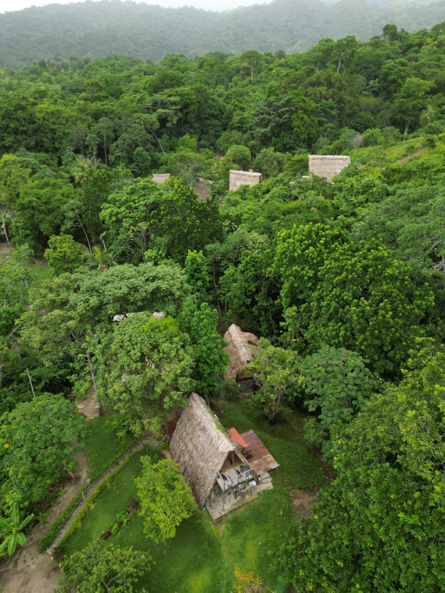 Tiny Houses Unique Tayrona - Dentro Del Parque Tayrona El Zaino Exterior photo